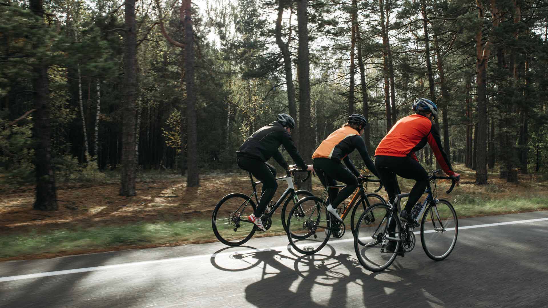 3 cyclistes roulent sur une route goudronnée entourée par la forêt